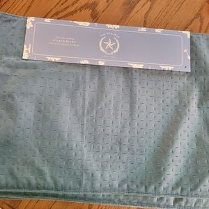 Rachel Ashwell Placemats (4) ~ "The Prairie" Pretty Blue Velour Feel ~ Décor